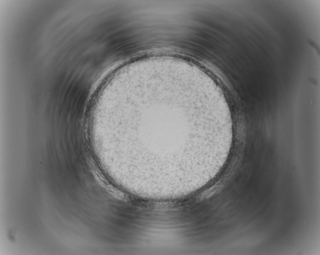 X0000100410832200806271442