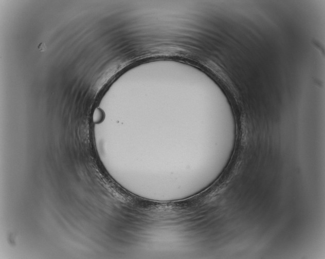 X0000100410834200806271442