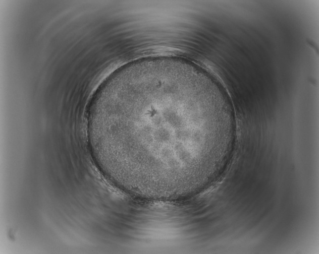 X0000100410835200806271442