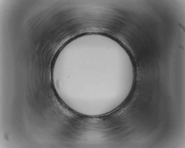 X0000100410837200806271442