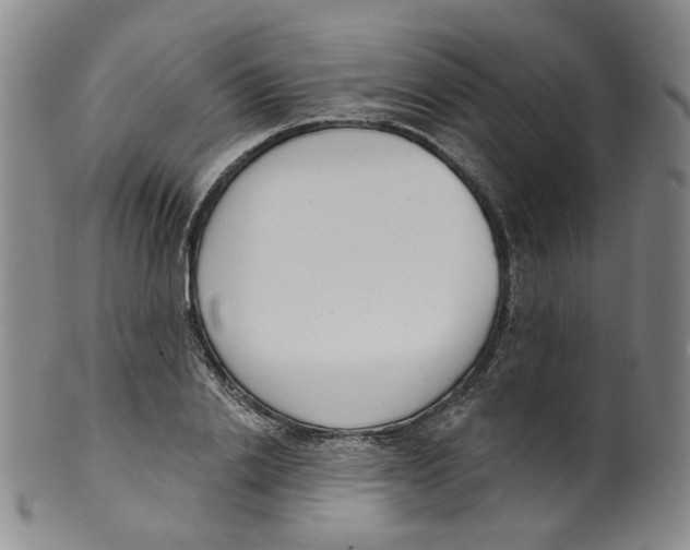 X0000100410838200806271442