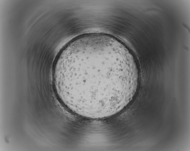 X0000100410839200806271442