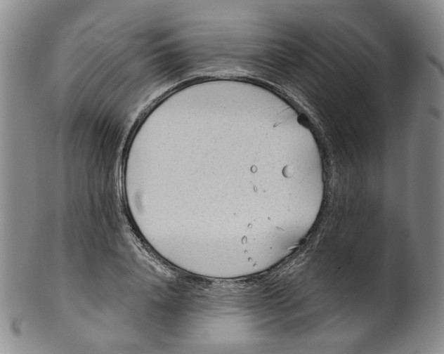 X0000100410840200806271442