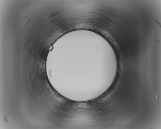 X0000100410841200806271442