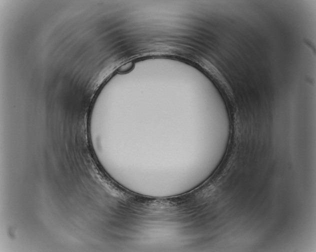 X0000100410842200806271442