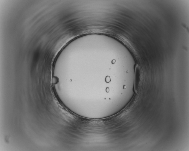 X0000100410844200806271442