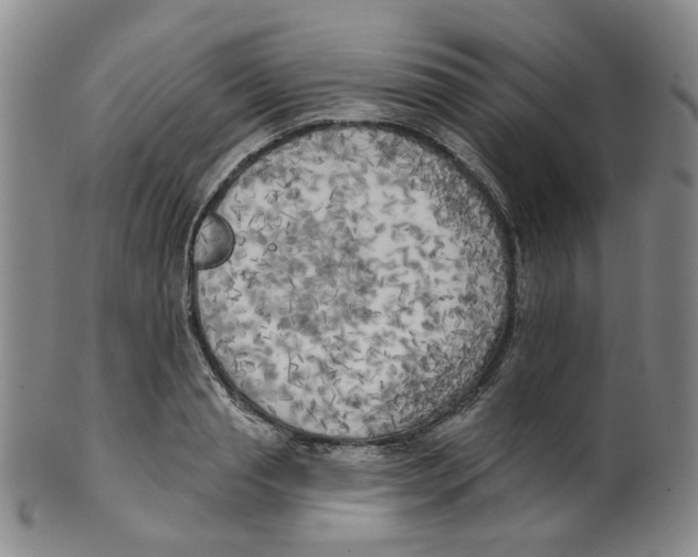 X0000100410845200806271442