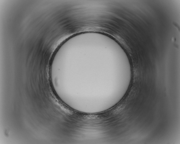 X0000100410846200806271442