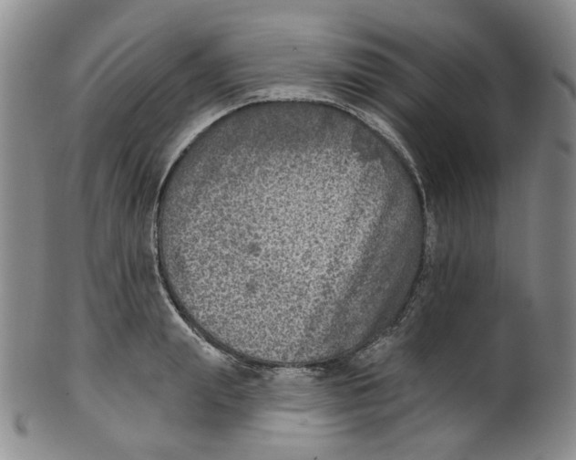 X0000100410847200806271442