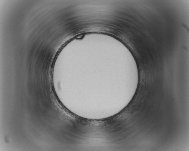 X0000100410848200806271442