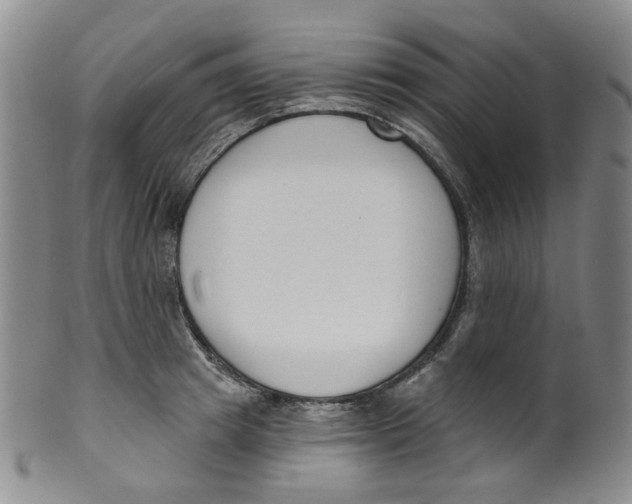 X0000100410849200806271442