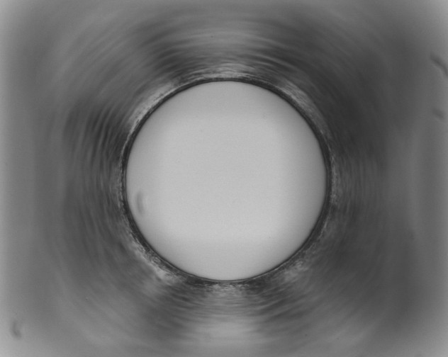 X0000100410850200806271442