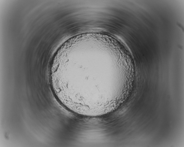 X0000100410851200806271442