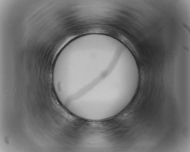 X0000100410852200806271442