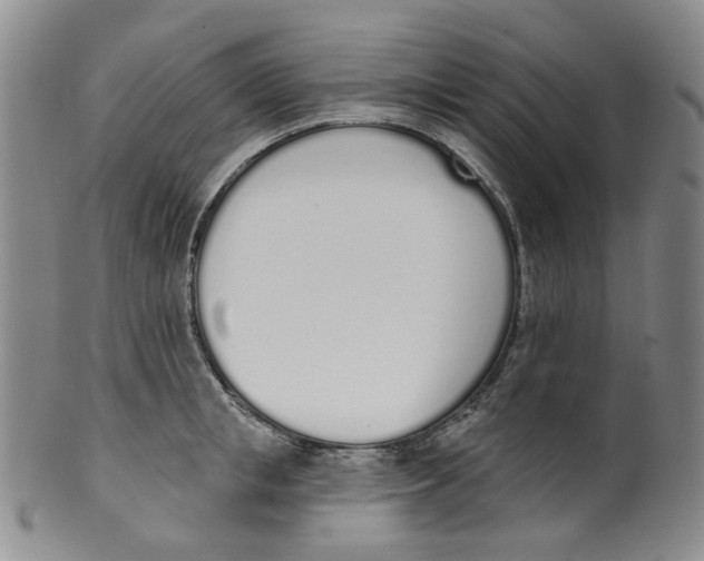 X0000100410853200806271442