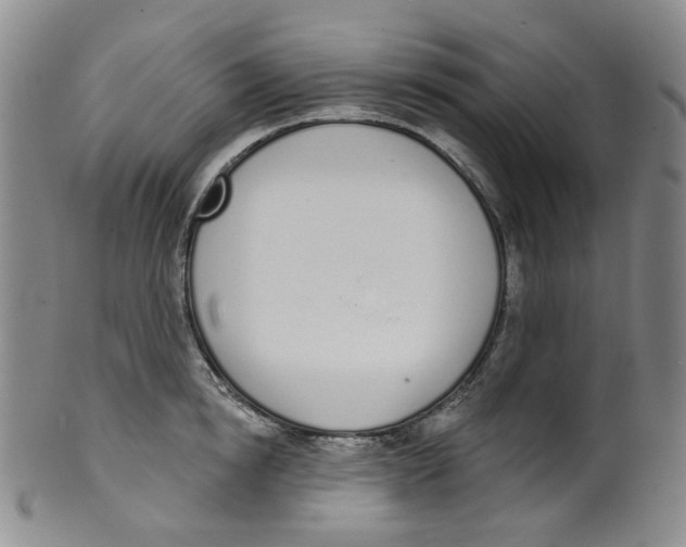 X0000100410854200806271442