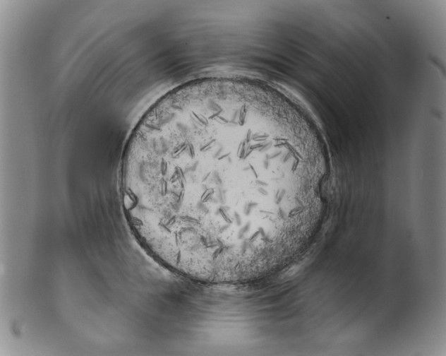 X0000100410855200806271442