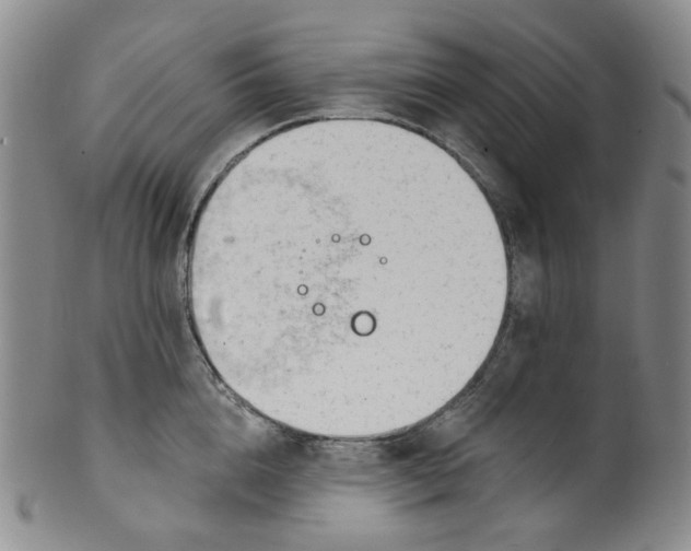 X0000100410856200806271442