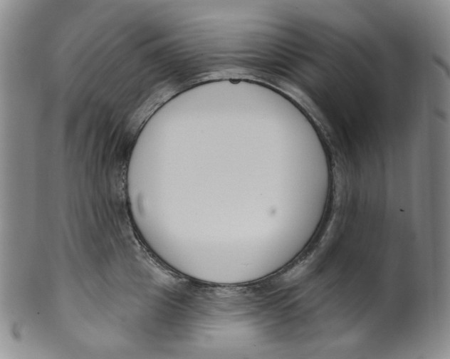 X0000100410857200806271442