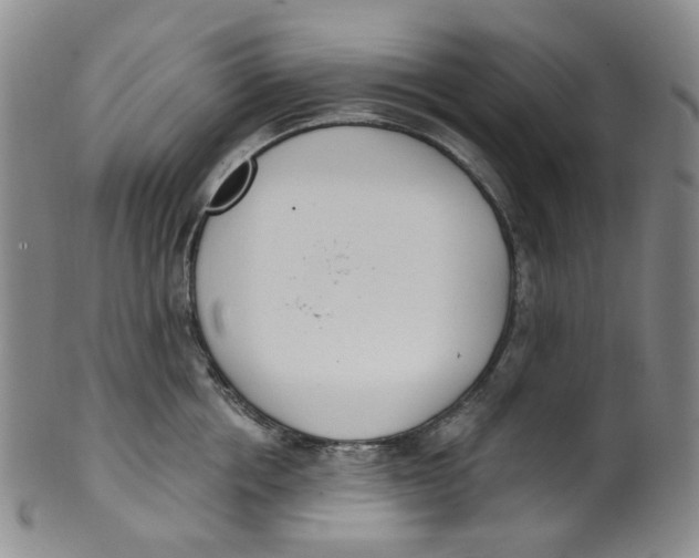 X0000100410858200806271442