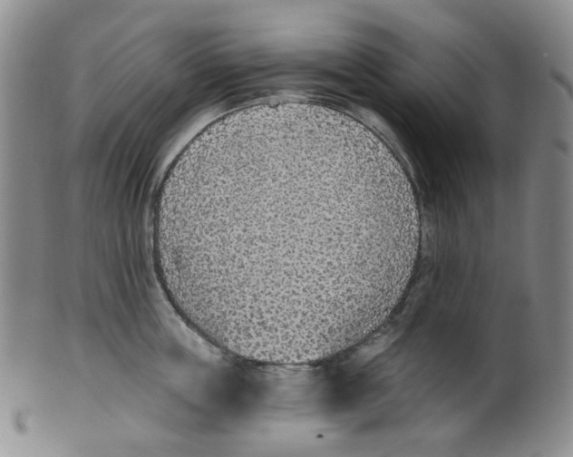 X0000100410859200806271442