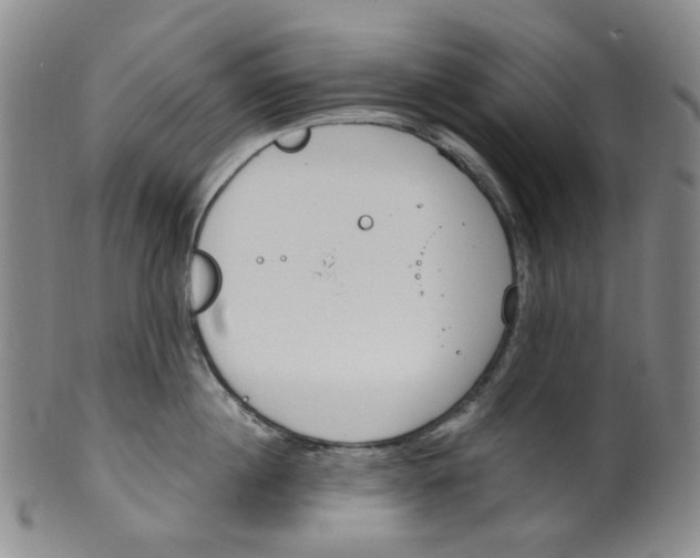 X0000100410860200806271442