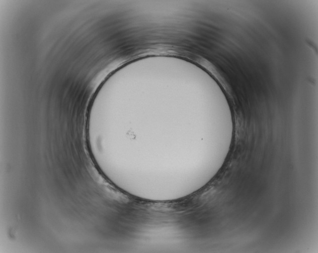 X0000100410861200806271442