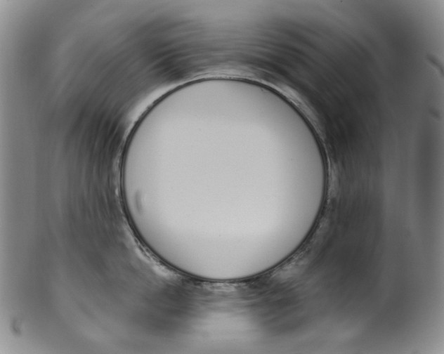 X0000100410862200806271442