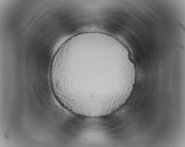 X0000100410863200806271442