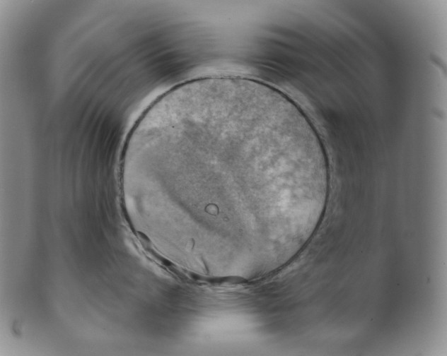 X0000100410864200806271442