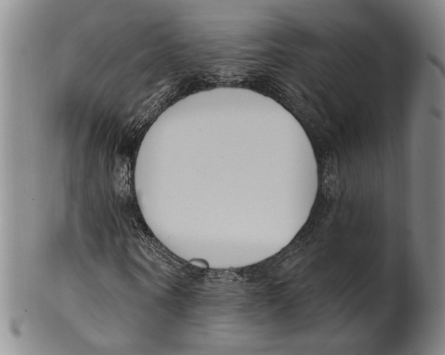 X0000100410866200806271441