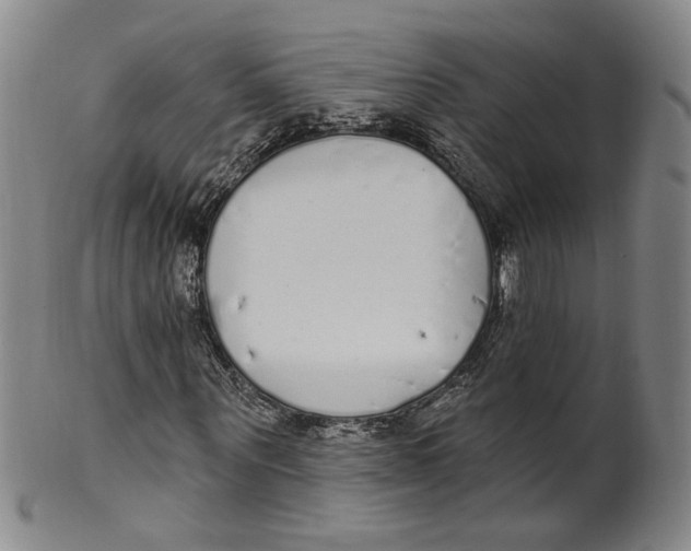 X0000100410867200806271441