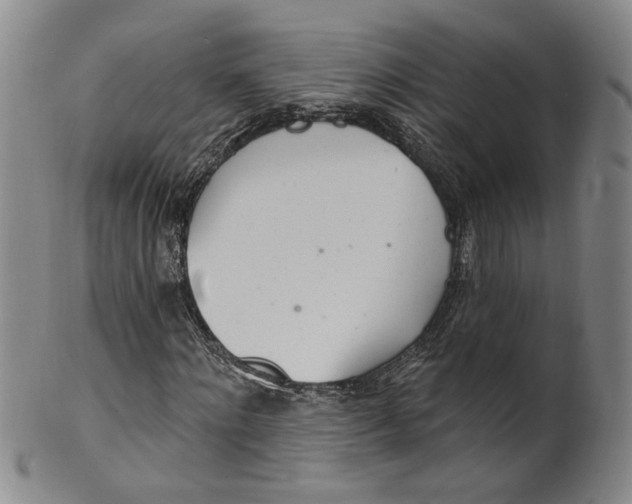 X0000100410868200806271441