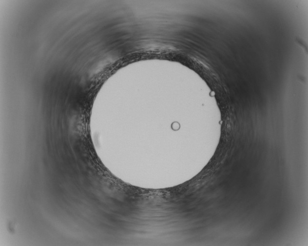 X0000100410869200806271441