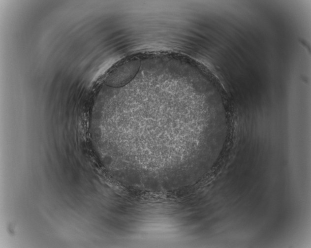 X0000100410871200806271441