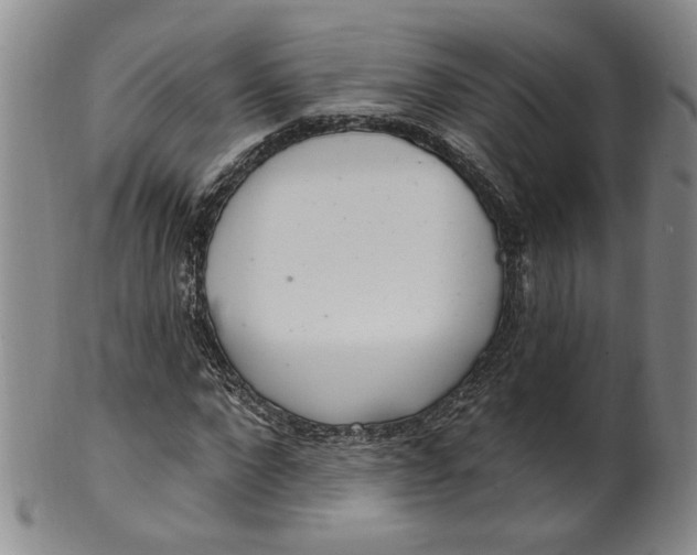 X0000100410872200806271441