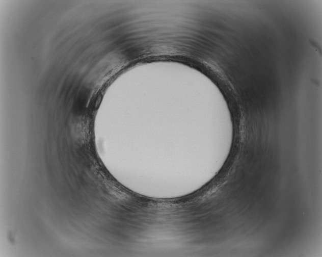 X0000100410873200806271441