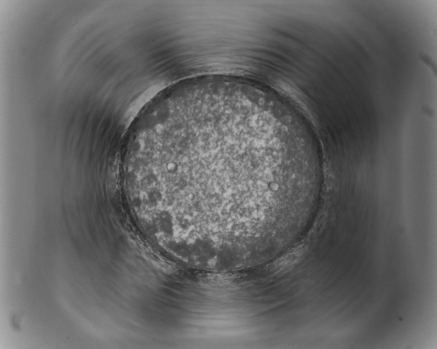 X0000100410875200806271441