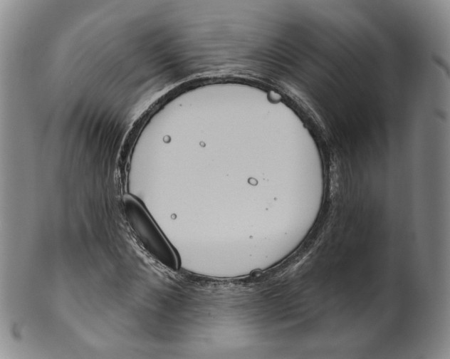 X0000100410876200806271441