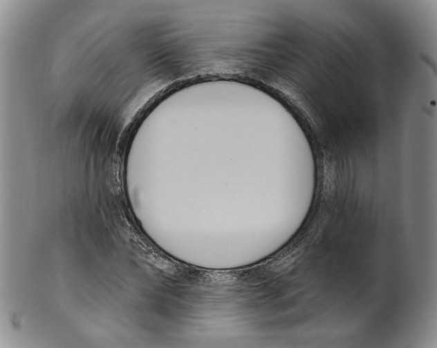 X0000100410878200806271441