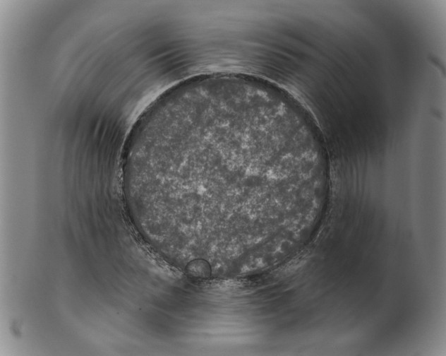 X0000100410879200806271441