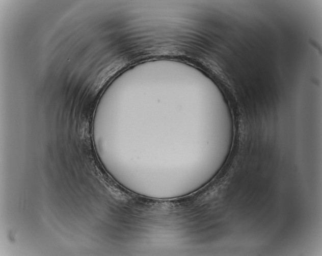 X0000100410881200806271441