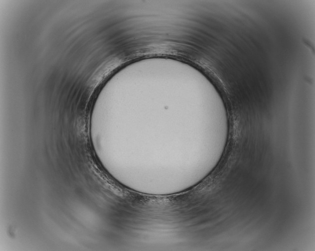 X0000100410882200806271441