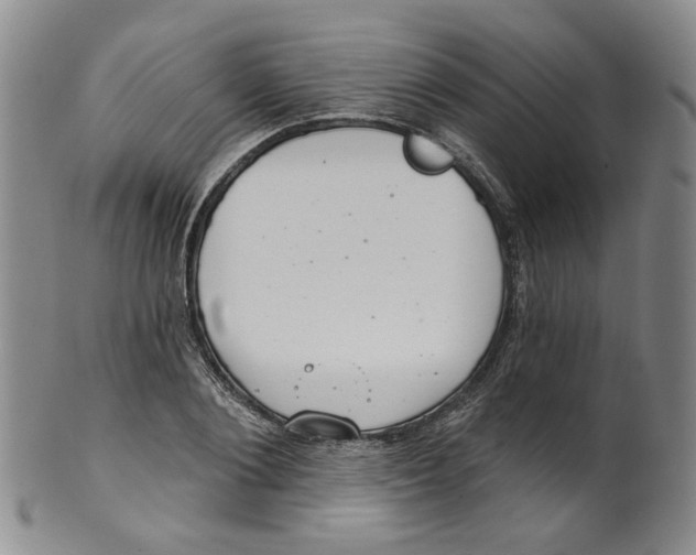 X0000100410884200806271441