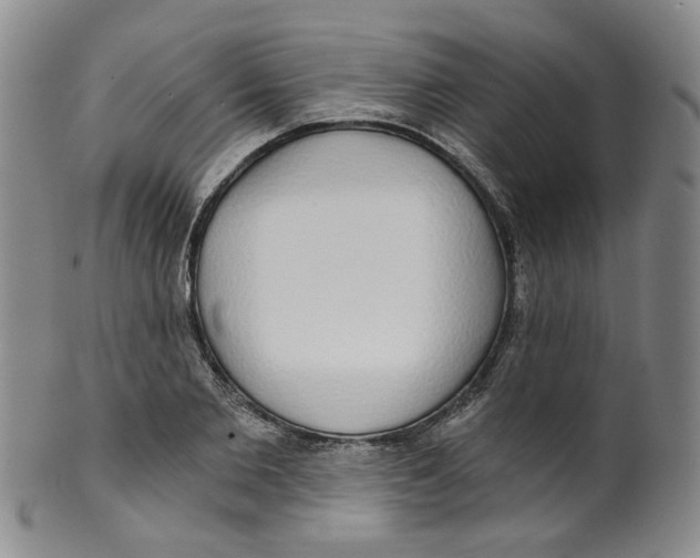 X0000100410885200806271441