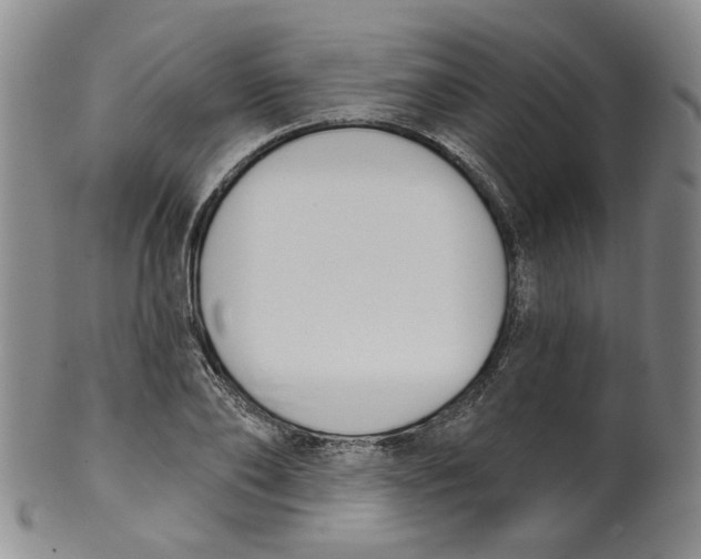 X0000100410886200806271441