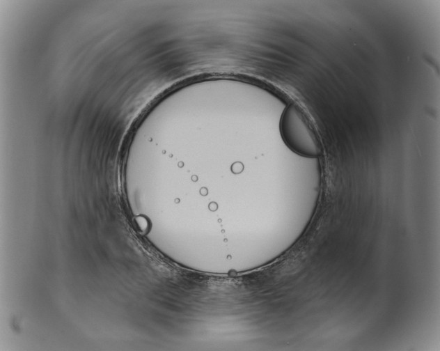 X0000100410887200806271441