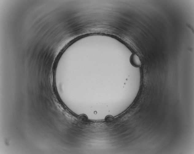 X0000100410888200806271441