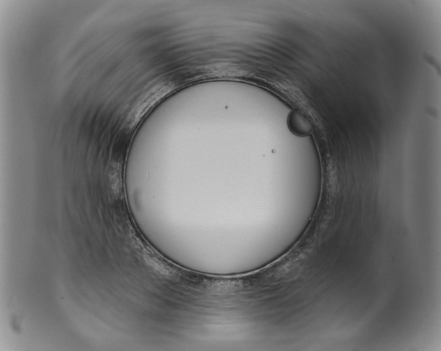 X0000100410889200806271441