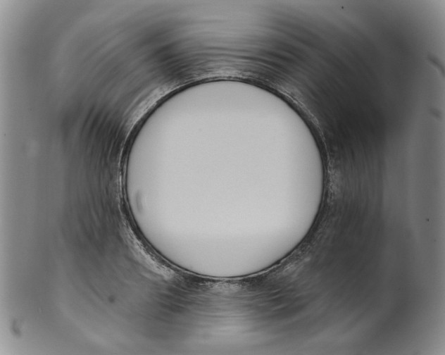 X0000100410890200806271441